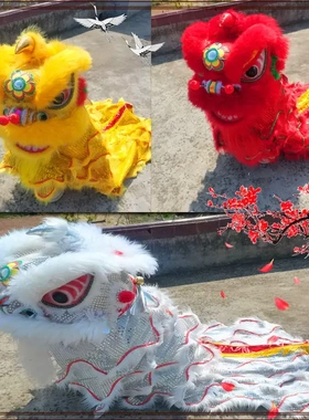 舞狮道具南狮醒狮成人儿童双人