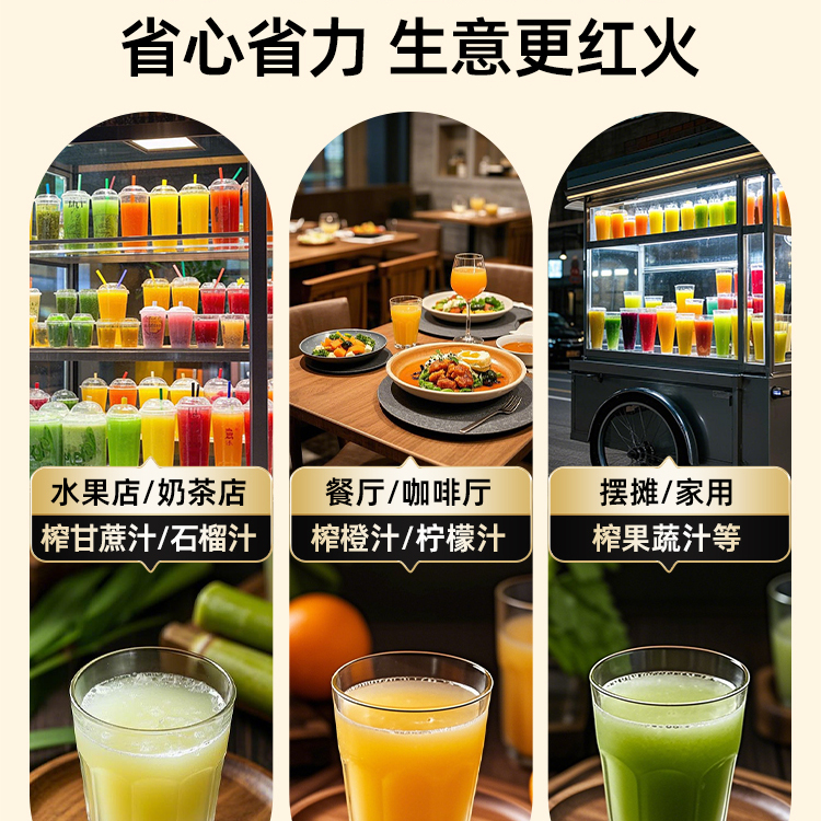 Sugarcane Juicer Orange Juicer 304 Stainless Steel