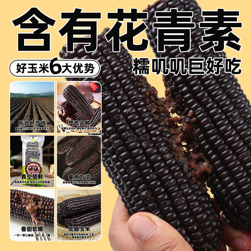 东北黄糯玉米新鲜甜黄玉米即食真空装黏苞米粘玉米2024新玉米代餐