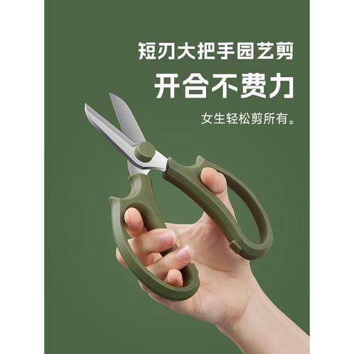 花艺剪刀剪花专用园艺修枝剪家用花店鲜切枝通用修花剪刀鲜花插花 - 图2