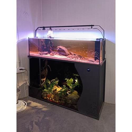 客厅中大型乌龟金鱼一体混养水陆两栖溪流缸底滤免换水造景生态缸 - 图1