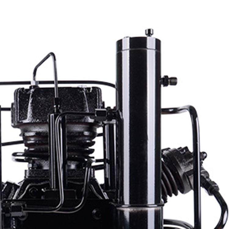 厂家直供高压呼吸空气压缩机空气呼吸器充气泵静音,淘宝优惠券,粉丝福利购,淘宝优惠卷