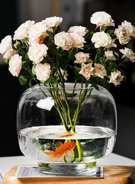 热销简约大肚透明玻璃花瓶水培植物生态水养创意客厅插花摆件装饰