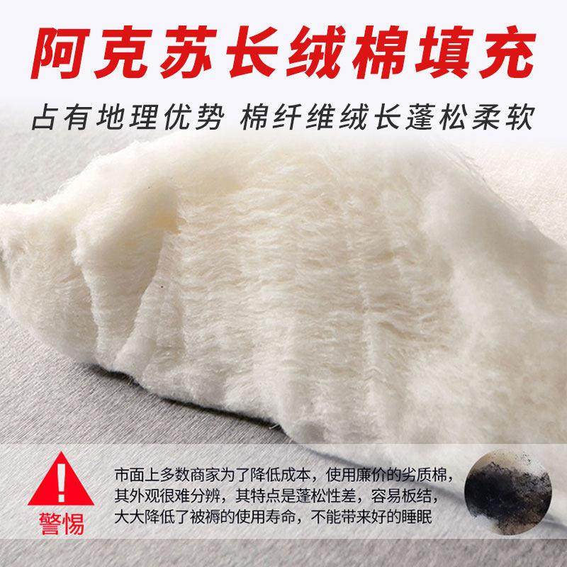 新疆一级棉花被芯学生四季手工棉絮床垫被棉胎被子春秋被冬被加厚,淘宝优惠券,粉丝福利购,淘宝优惠卷