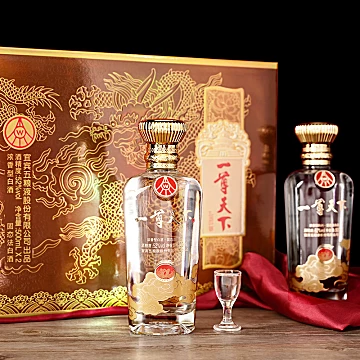 五粮液一尊天下52度白酒500ml*2瓶精美礼盒[20元优惠券]-寻折猪