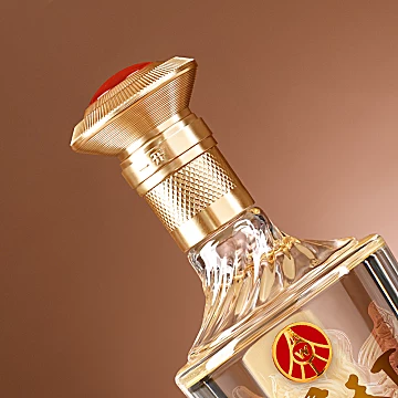 五粮液一尊天下52度500ml*6瓶整箱礼盒装[20元优惠券]-寻折猪