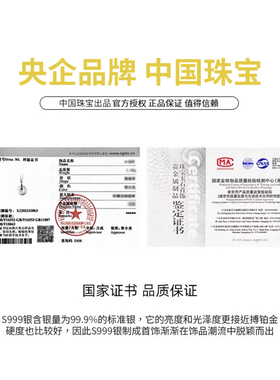 本命年平安扣足银项链新年礼物