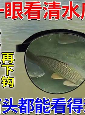 德国偏光钓鱼眼镜水底找鱼看漂专用可见水下三米清垂钓太阳眼镜