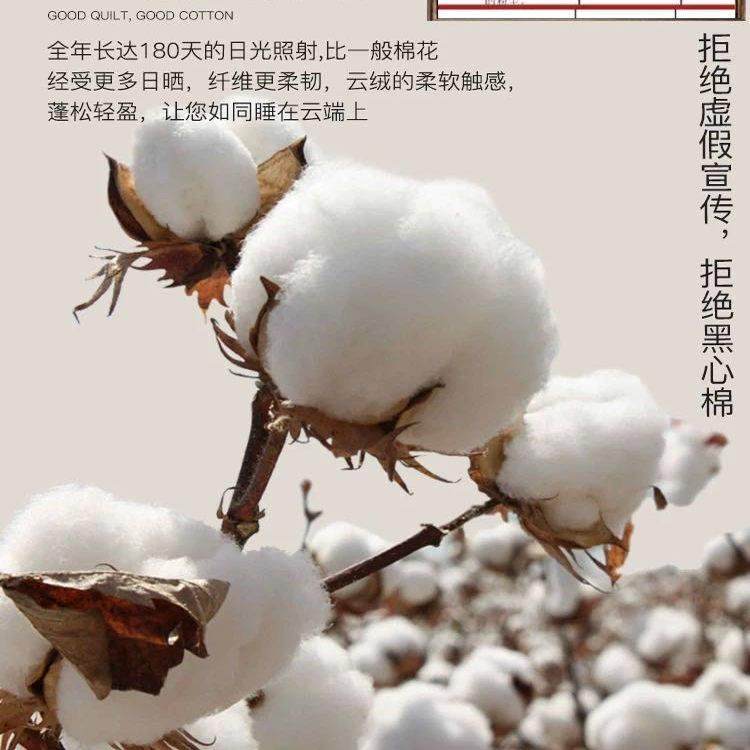新疆棉花被一级长绒纯棉花学生被子被芯棉絮床垫褥子垫被加厚冬被,淘宝优惠券,粉丝福利购,淘宝优惠卷