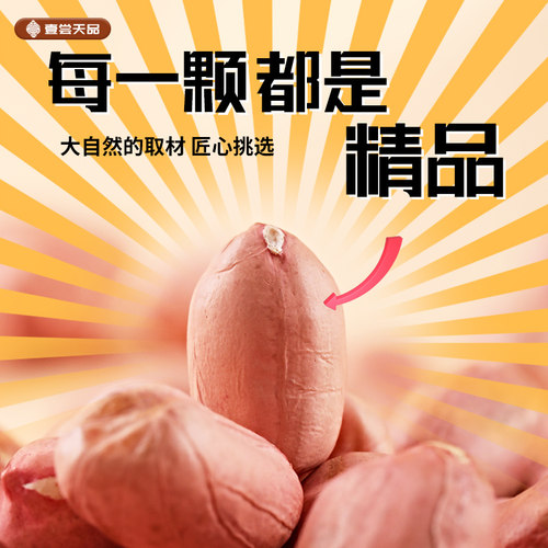 东北新鲜白沙花生米24年农家新货晒干无壳特大粒粉红皮花生仁商用 - 图0