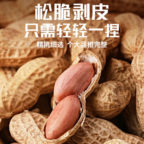 东北新鲜白沙花生米24年农家新货晒干无壳特大粒粉红皮花生仁商用 - 图3