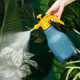Nordic contrasting watering plastic watering can Home gardening air pressure watering sprayer Sprayer Watering watering can