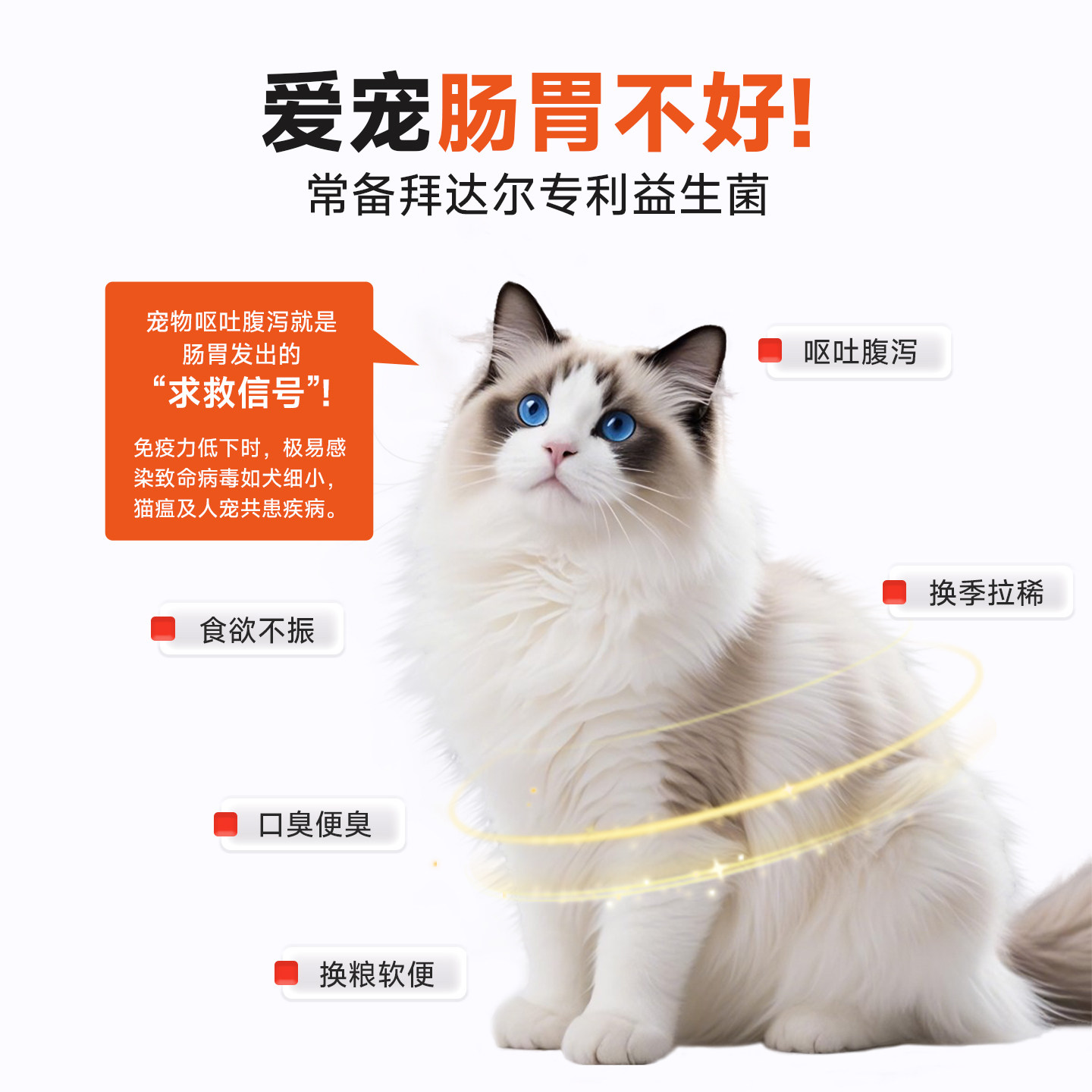 拜达尔猫咪调理肠胃益生菌幼猫肠道益生菌改善软便腹泻拉稀呕吐用,淘宝优惠券,粉丝福利购,淘宝优惠卷