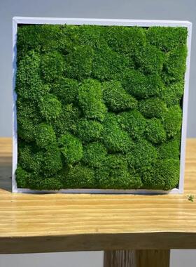好货新中式禅意永生苔藓摆件正方形造景锤纹铜色书桌茶几餐桌配饰