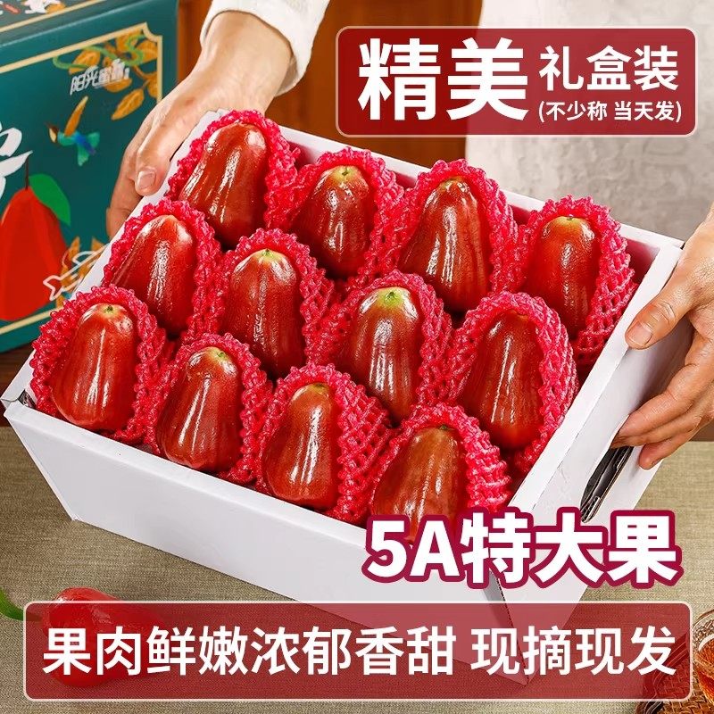 顺丰礼盒海南黑金刚莲雾水果新鲜特大果三亚特产水果当季整箱包邮,淘宝优惠券,粉丝福利购,淘宝优惠卷