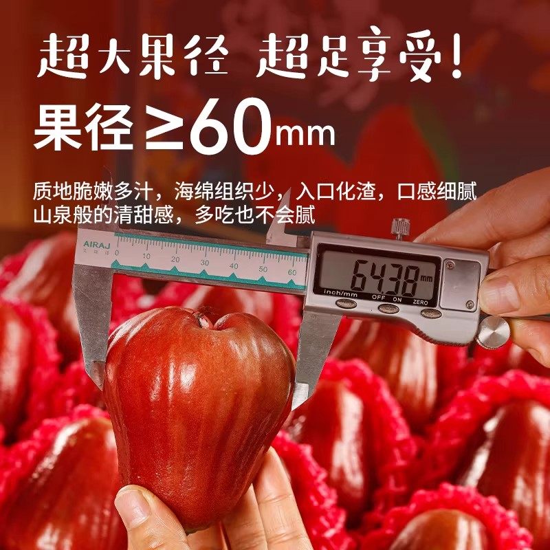 顺丰礼盒海南黑金刚莲雾水果新鲜特大果三亚特产水果当季整箱包邮,淘宝优惠券,粉丝福利购,淘宝优惠卷