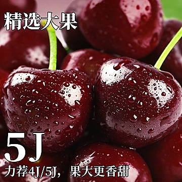 智利车厘子新鲜水果当季整箱包邮5斤[40元优惠券]-寻折猪