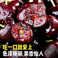 品质放一百个心！智利进口车厘子3J级5斤