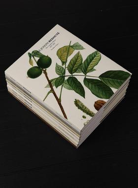 现代侘寂硬壳英文道具书售楼处样板间书房陈列假书仿真书装饰摆件