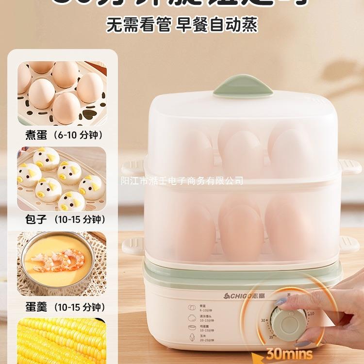 电蒸锅家用蒸煮炖一体早餐机双层宿舍小型蒸煮蛋器多功能蒸锅 - 图0