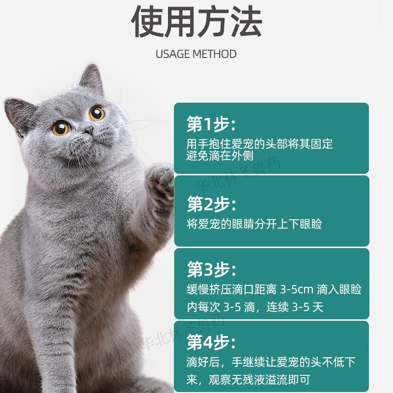 宠物猫用消炎狗硫酸新霉素滴眼液结膜角膜炎流泪红肿水肿发红瘙痒,淘宝优惠券,粉丝福利购,淘宝优惠卷