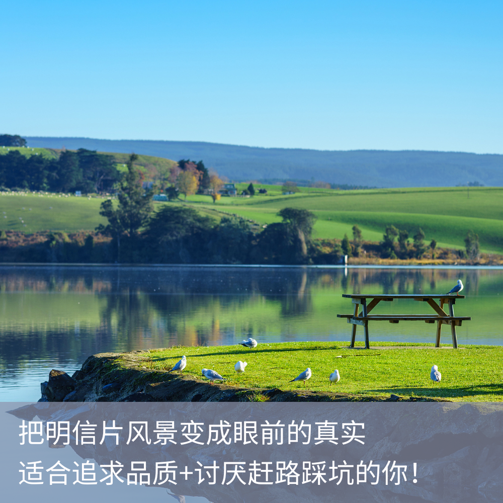 羚羊部落【8人精品团，民宿版】新西兰南岛6天5晚多日游,淘宝优惠券,粉丝福利购,淘宝优惠卷