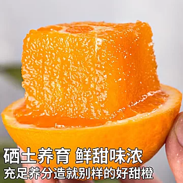 之味珍选正宗赣南脐橙净重4.5斤[6元优惠券]-寻折猪