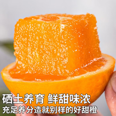 之味珍选正宗赣南脐橙新鲜橙子