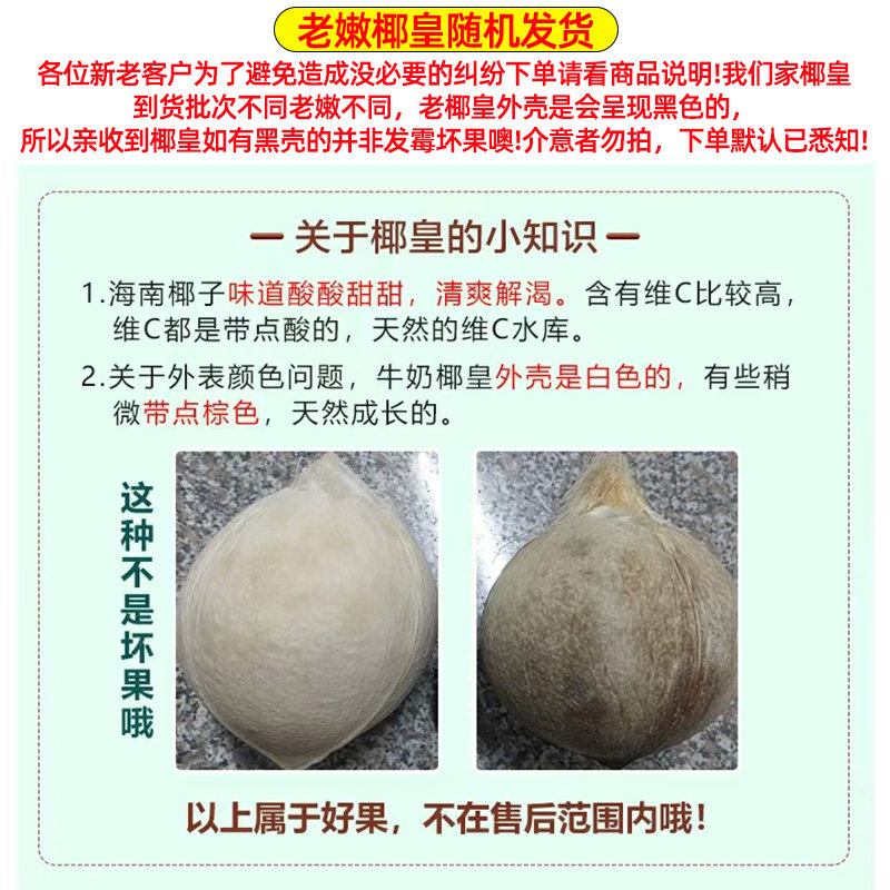 海南牛奶椰皇9个装新鲜椰青当季煲鸡汤老椰子肉椰汁孕妇整箱30