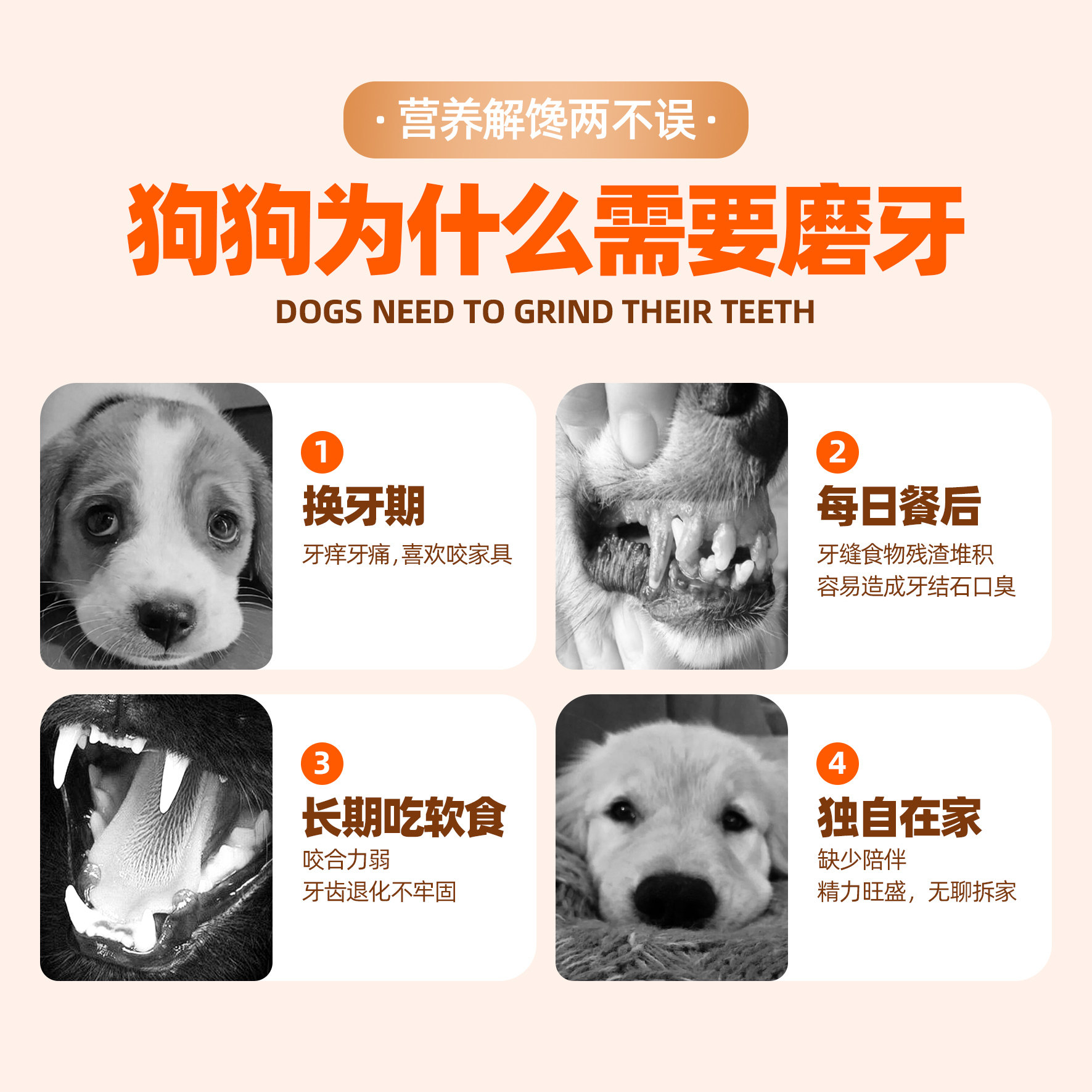 狗狗磨牙棒鸡肉鸭肉缠牛皮宠物零食洁磨牙齿营养补小狗训练零食,淘宝优惠券,粉丝福利购,淘宝优惠卷