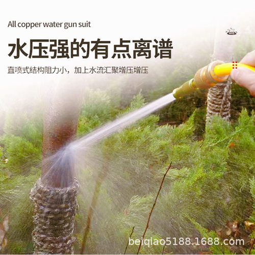 黄铜高压洗车水枪奶嘴喷头软管套装洗车工具洗车浇花浇菜 - 图0