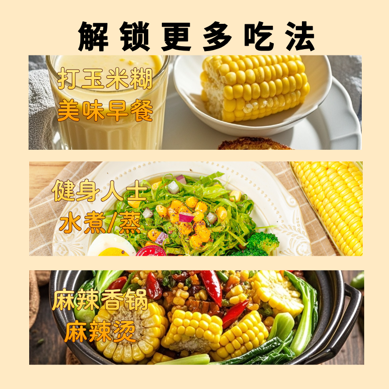 源漠优品乌兰布和沙漠有机黄糯玉米非转基因软糯香甜口感拉丝10穗