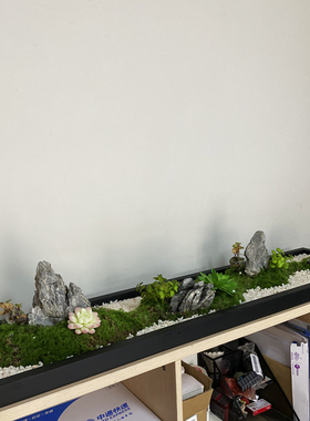 极速轻奢风绿植装饰桌面摆件办公桌会议室长桌微景观盆景苔藓造景