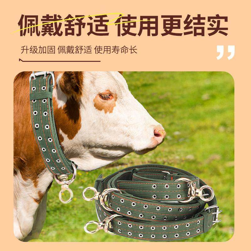 栓牛脖套加厚牛脖子套拴牛专用绳子牛羊项圈牛绳子套牛神器牛用品,淘宝优惠券,粉丝福利购,淘宝优惠卷