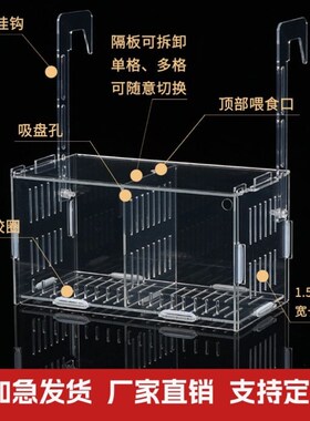 鱼缸水培植物固定架壁挂水培器皿定植篮亚克力花盆定植蓝加深水草
