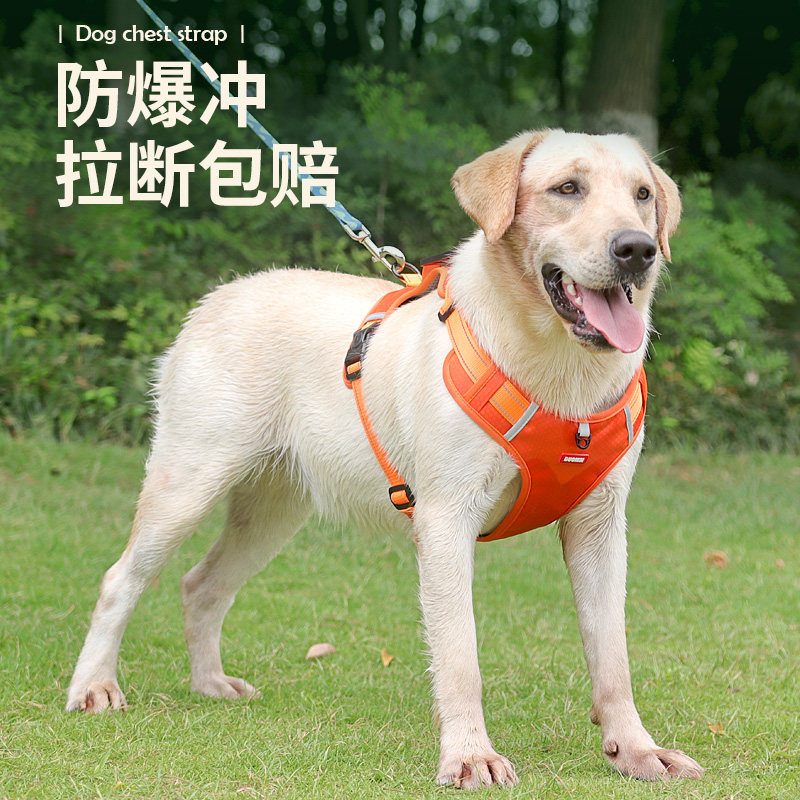 狗狗牵引绳防爆冲胸背带中型大型犬金毛拉布拉多狗链子大狗遛狗绳,淘宝优惠券,粉丝福利购,淘宝优惠卷