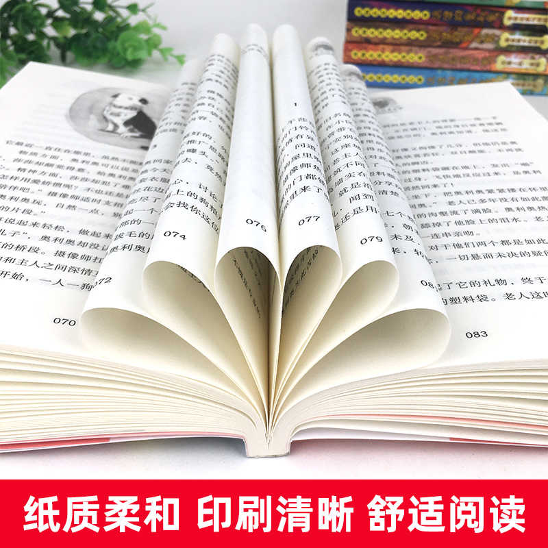 【单册任选】流浪狗奥利奥全套12册来自星星的守护舌尖上的二重唱黑夜骑手的眼睛沈石溪力作6-12周岁小学生课外阅读书籍