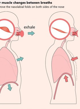 Jawline Exerciser V Face Facial Lifter Double Chin Remover