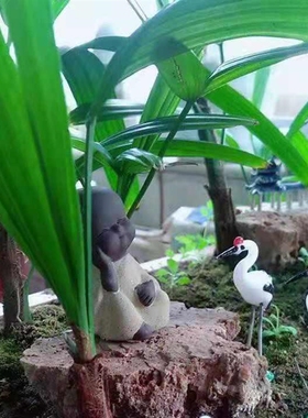 玻璃小白鹤仙鹤丹顶鹤水上石假山盆景动物摆件多肉微景观鱼缸造景