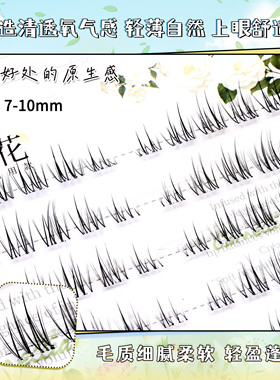 婉嫔免胶山茶花上下眼通用假睫毛新款自然浓密百搭漫画自粘睫毛