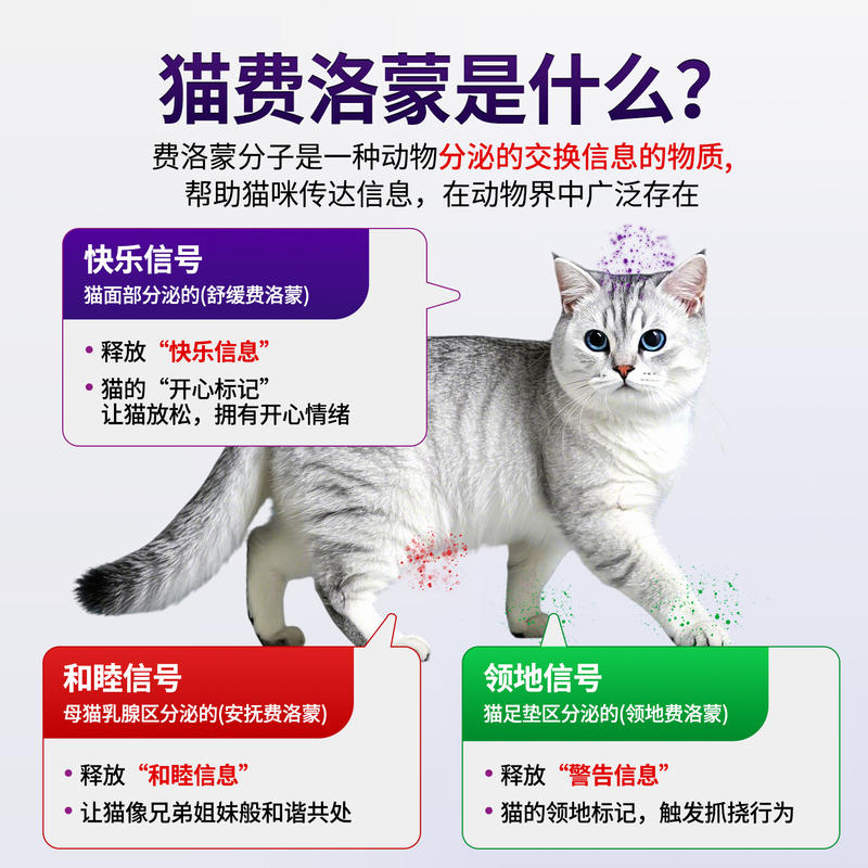 商品缩略图 2