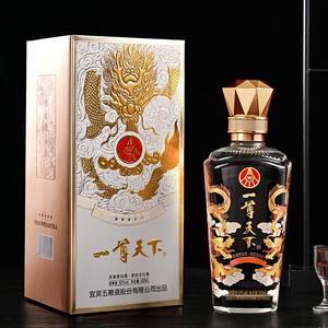 五粮液一尊天下浓香型白酒52度500mL*2瓶