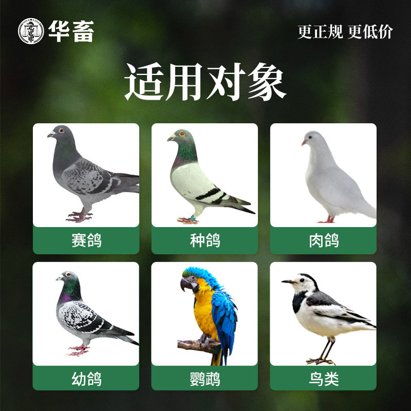 华畜鸽子专用保健砂高钙营养红土鹦鹉补钙赛鸽信鸽食粮鸽子保健沙,淘宝优惠券,粉丝福利购,淘宝优惠卷