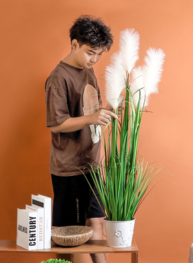 芦苇草仿真植物盆景盆栽造景