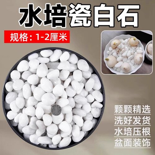 水培石子颗粒白色天然鹅卵石雨花白色小石头造景陶瓷盆郁金香水仙 - 图1