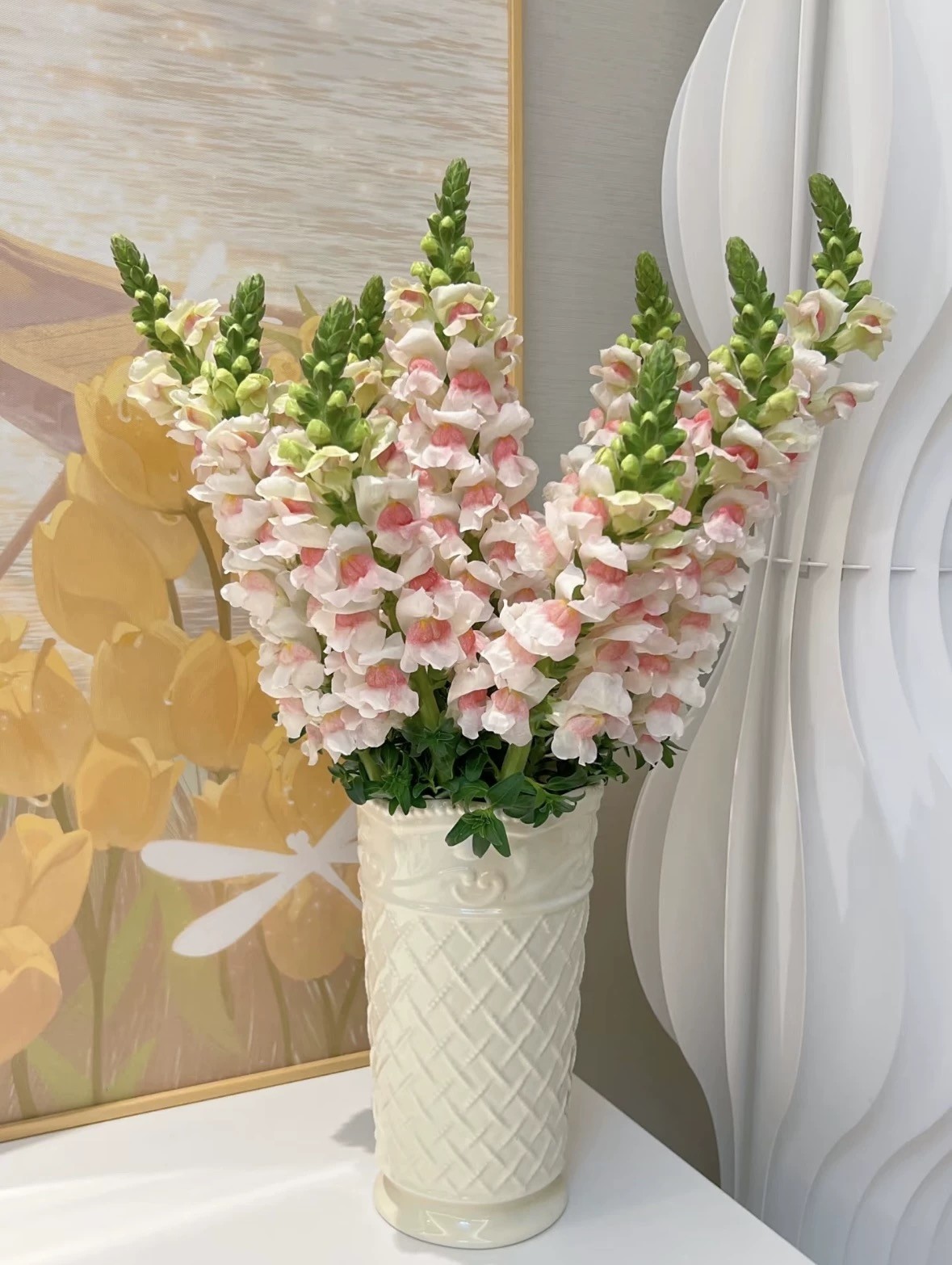 金鱼草鲜花云南直发基地鲜切花束办公观赏客厅水养插花瓶小众花材,淘宝优惠券,粉丝福利购,淘宝优惠卷