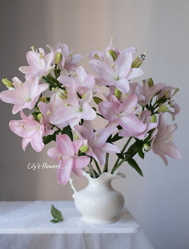 黑宝石亚百合无香型高级黑红色油画质感花苞小巧家庭办公水养鲜花 - 图2