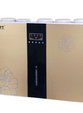厂家一体机净水器豪华直饮机ro反渗透纯水机苹果六代净水器