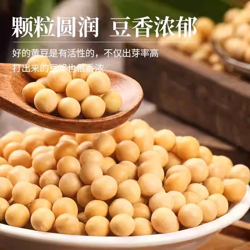 黄豆新大豆当季豆子非转基因农家黄豆早餐打豆浆发豆芽用五谷杂粮