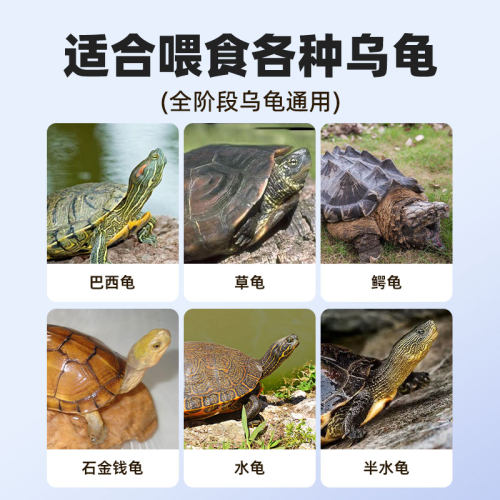 淡水龟粮龟饲料乌龟粮食小鱼干磷虾干磷虾巴西龟通用龟食宠物零食-图2